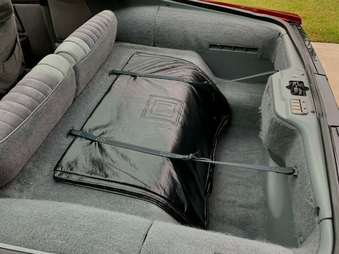 1986 Pontiac Trans Am - photo 10
