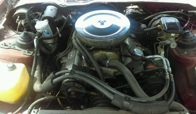 1986 Pontiac Trans Am - photo 12