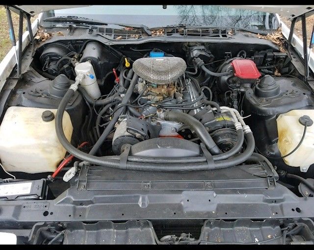 1986 Pontiac Trans Am - photo 6