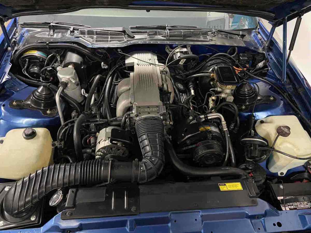 1986 Pontiac Firebird TRANS AM - photo 10