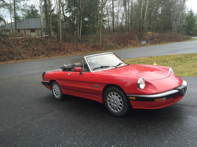 1986 Alfa Romeo Spider quaddrifoglio - photo 4