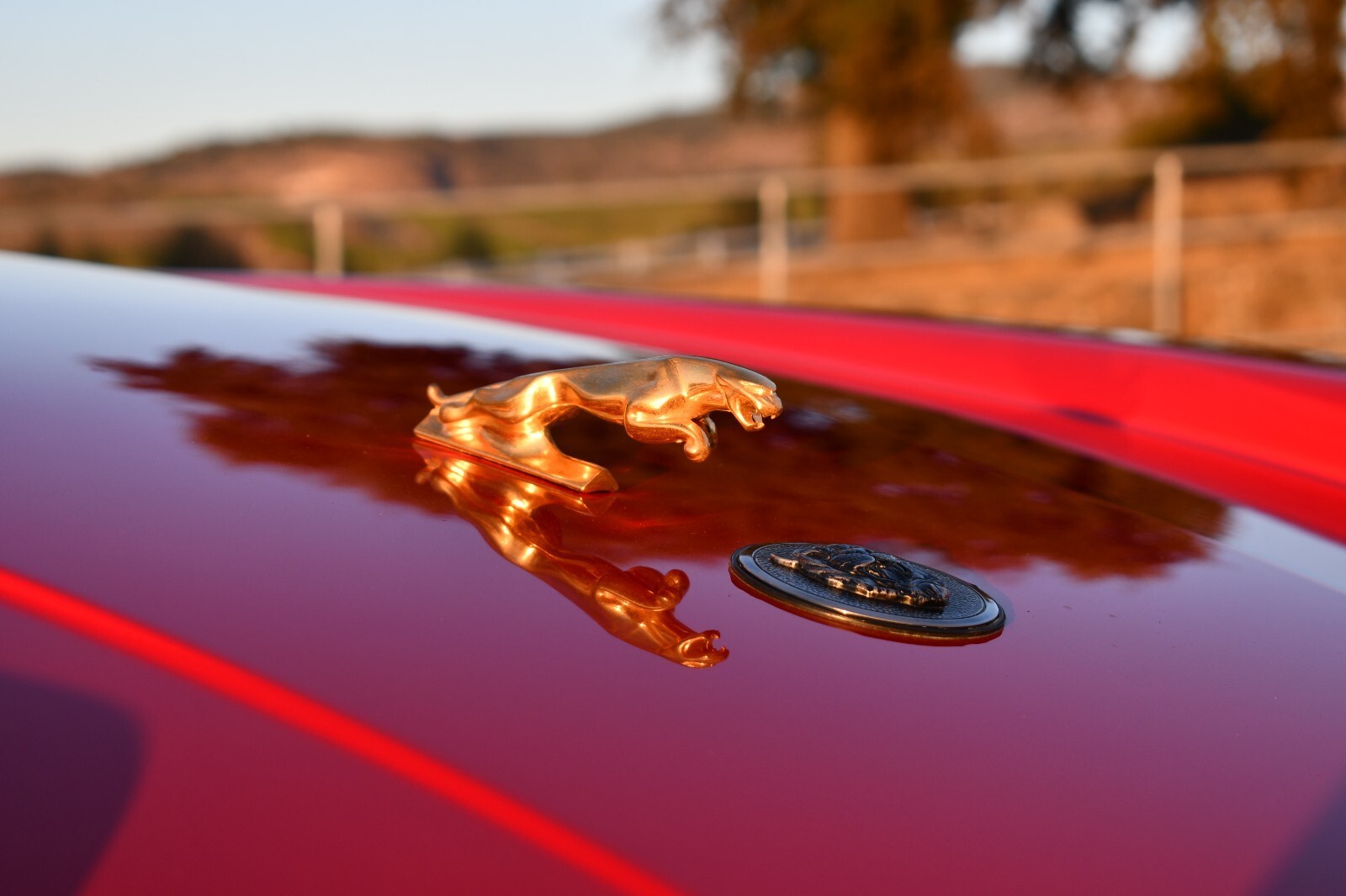 1986 Jaguar XJS - photo 12