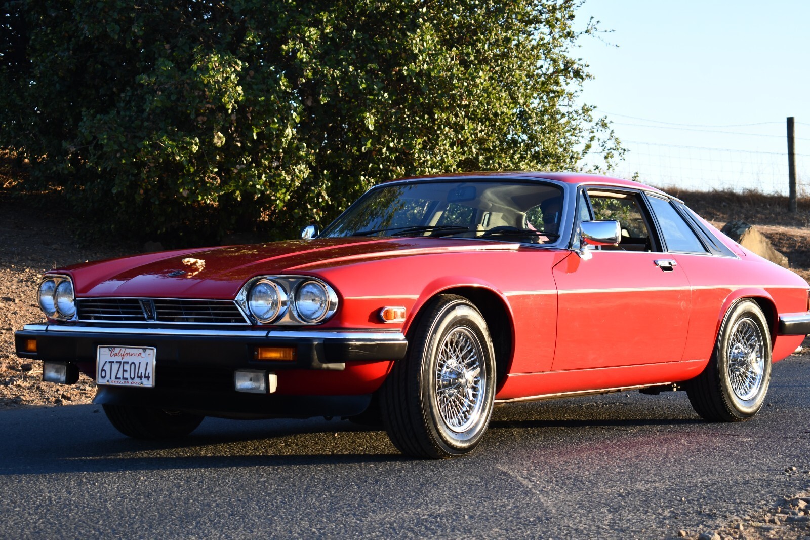 1986 Jaguar XJS - photo 7
