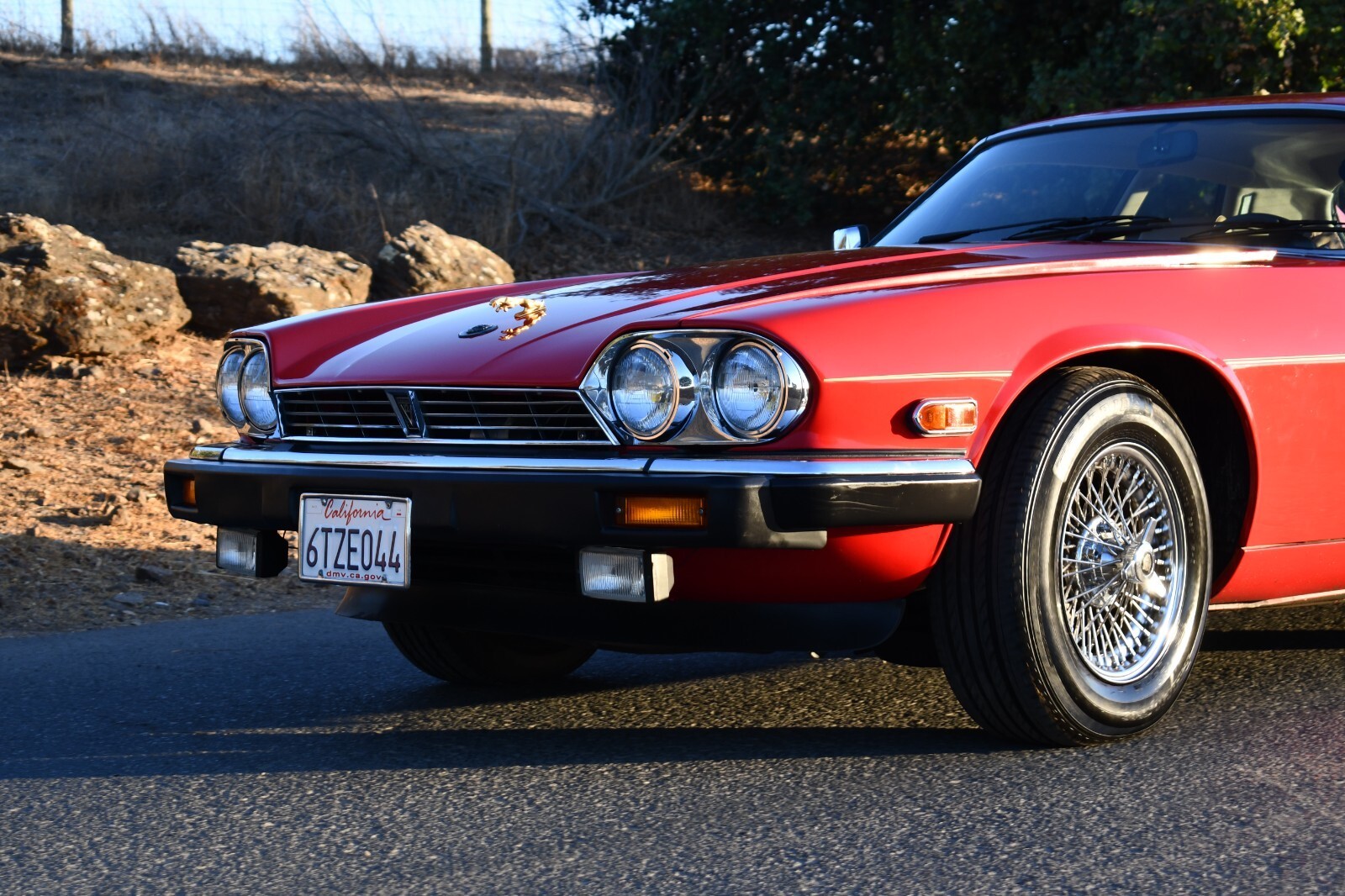 1986 Jaguar XJS - photo 8