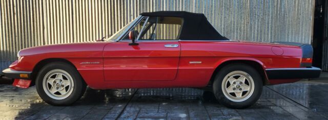 1986 Spider Veloce in A+ excellent condition, low miles, performance upgrades 1986 Alfa Romeo Spider
