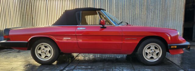 1986 Alfa Romeo Spider - photo 2