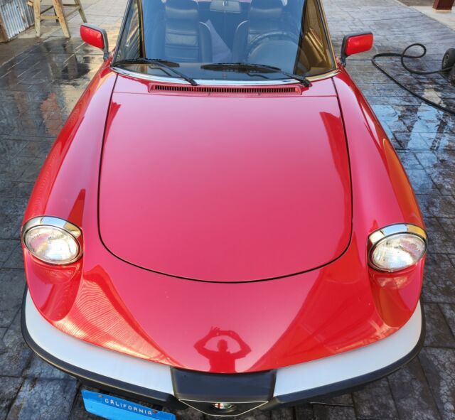 1986 Alfa Romeo Spider - photo 3
