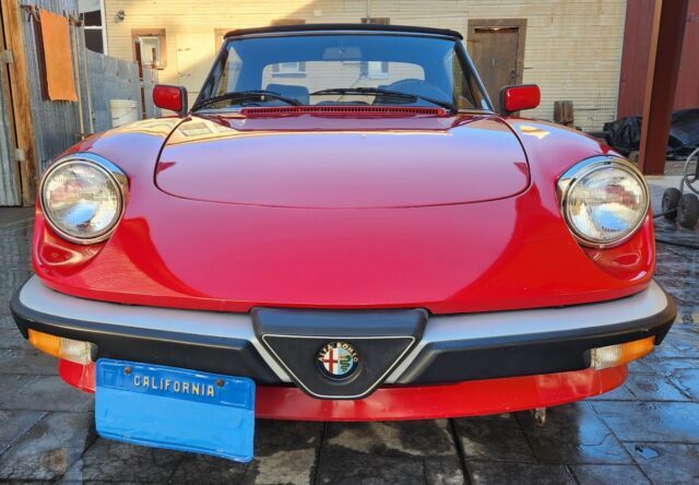 1986 Alfa Romeo Spider - photo 4