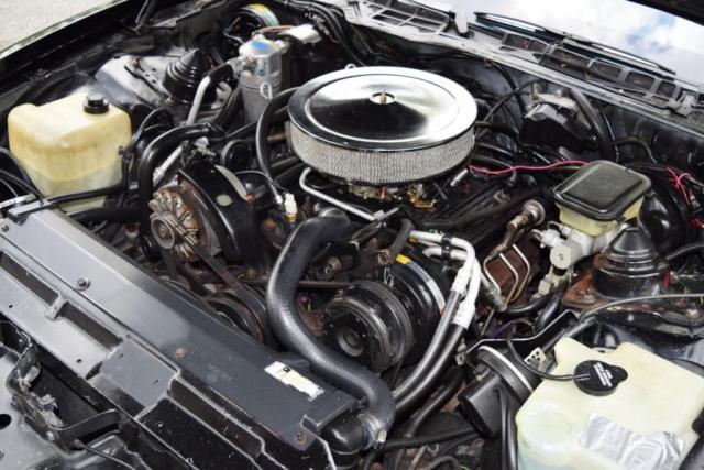 1986 Pontiac Firebird TRANS-AM WITH $5000 BUILT 350 V8 - photo 4
