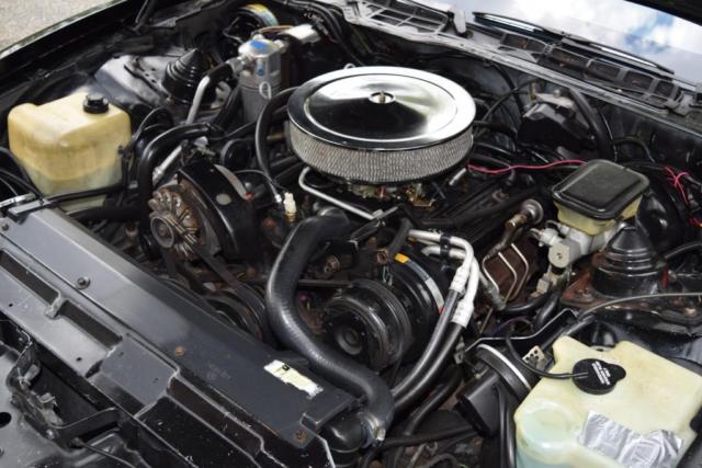 1986 Pontiac Firebird TRANS-AM WITH $5000 BUILT 350 V8 - photo 3