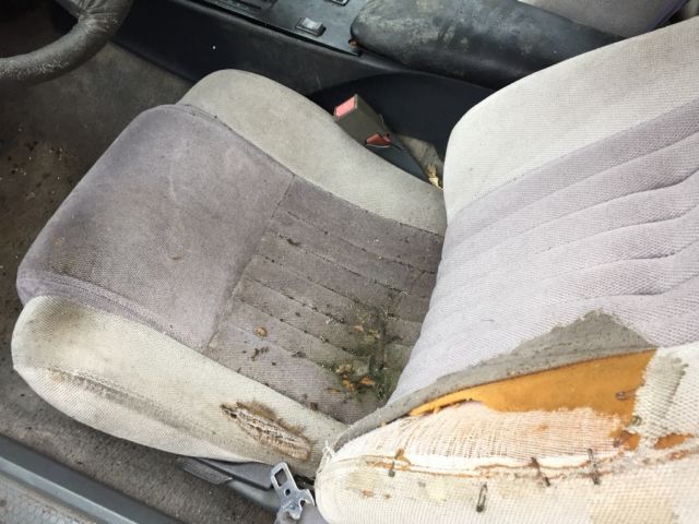 1986 Pontiac Trans Am - photo 12