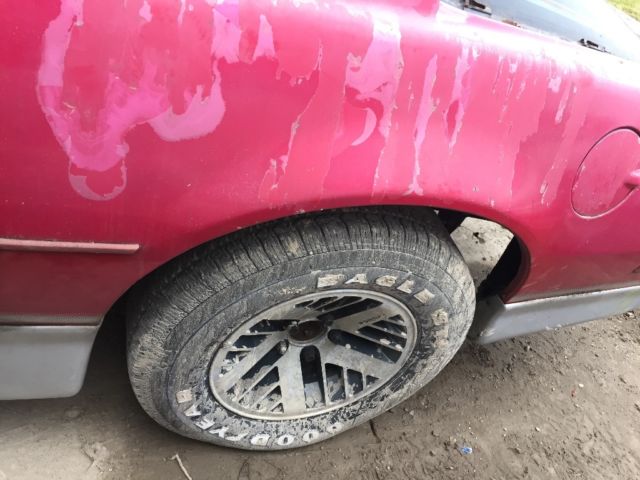 1986 Pontiac Trans Am - photo 2