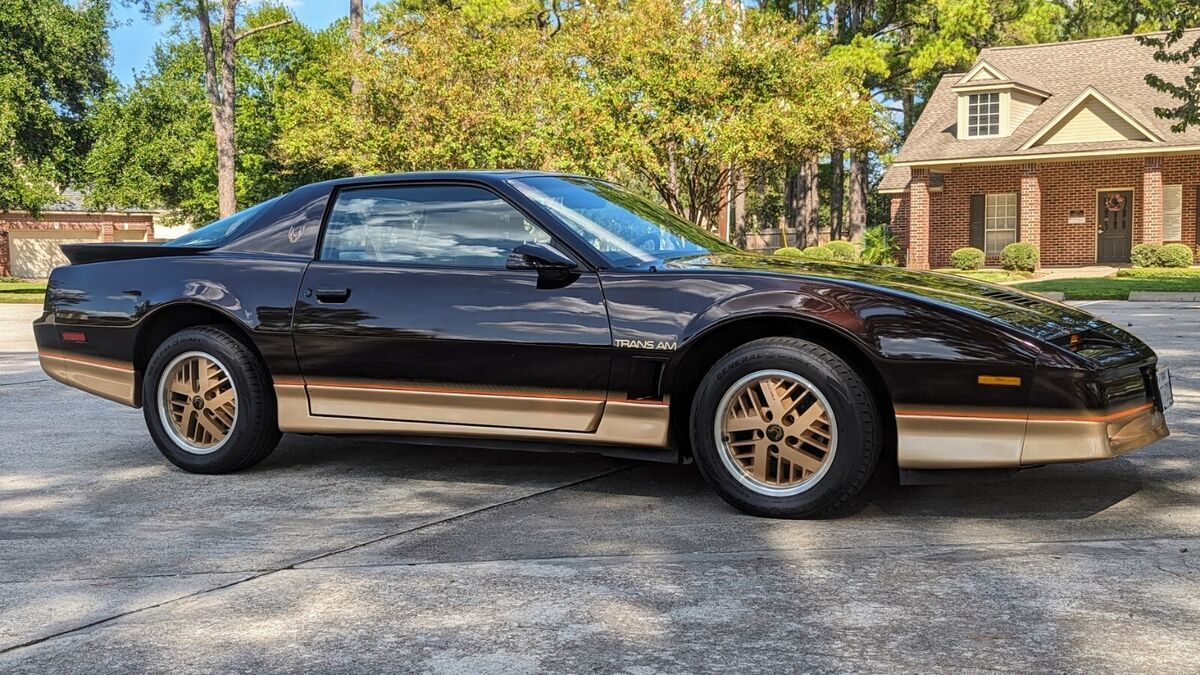 1986 Pontiac Firebird Trans Am - photo 11