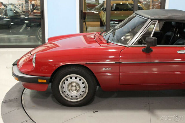 1986 Alfa Romeo Spider Veloce - photo 13