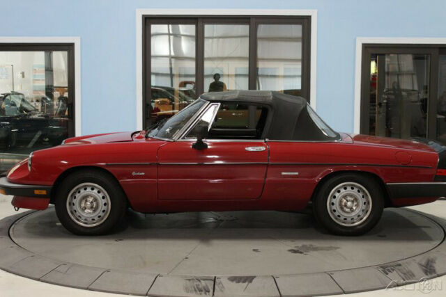 1986 Alfa Romeo Spider Veloce - photo 2