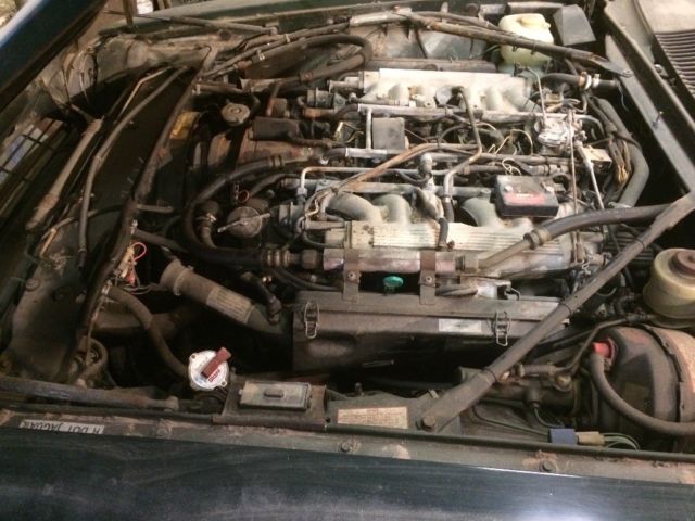 1986 Jaguar XJS - photo 5