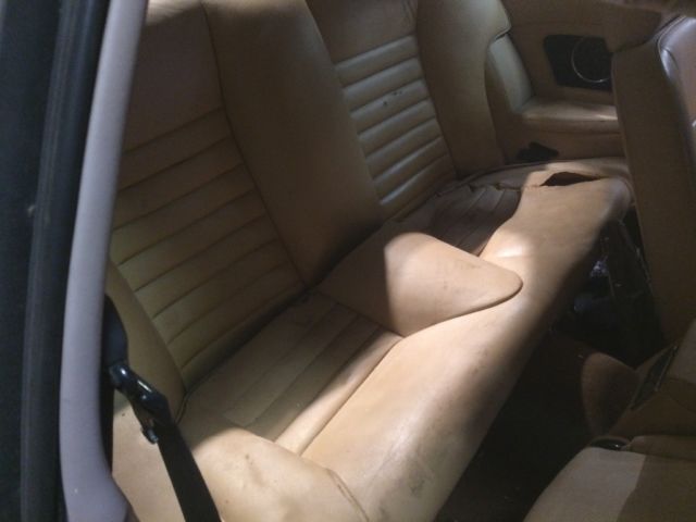 1986 Jaguar XJS - photo 9