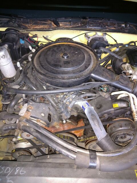 1986 Pontiac Trans Am Trans am - photo 6