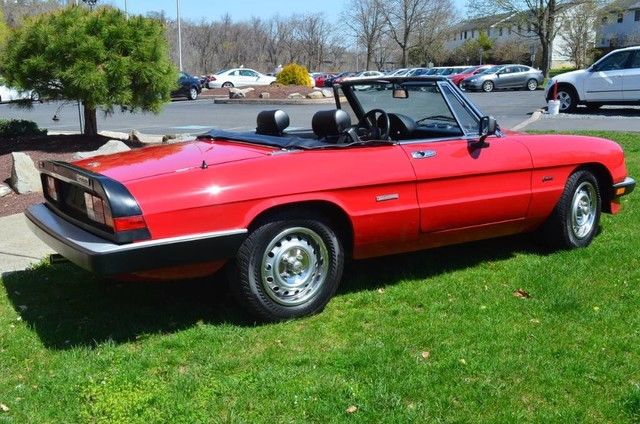 1987 Alfa Romeo Spider Graduate Convertible 2-Door - photo 4