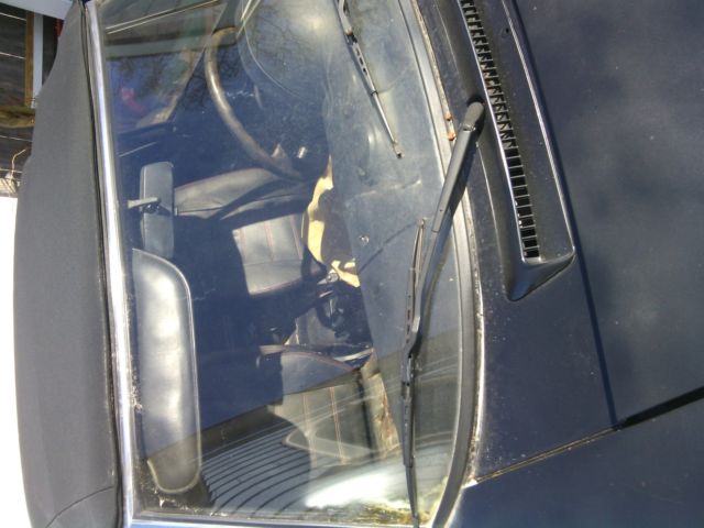 1987 Alfa Romeo Spider Spider - photo 3