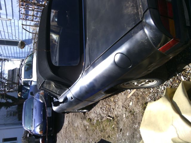 1987 Alfa Romeo Spider Spider - photo 7