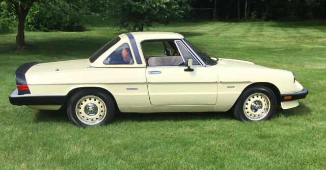 1987 Alfa Romeo Spider Graduate - photo 2
