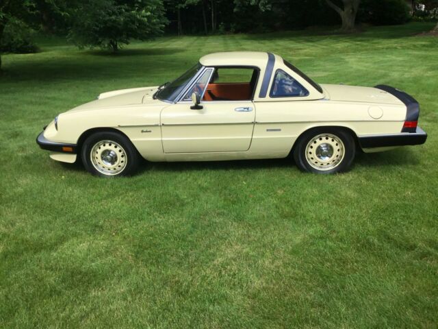 1987 Alfa Romeo Spider Graduate - photo 5