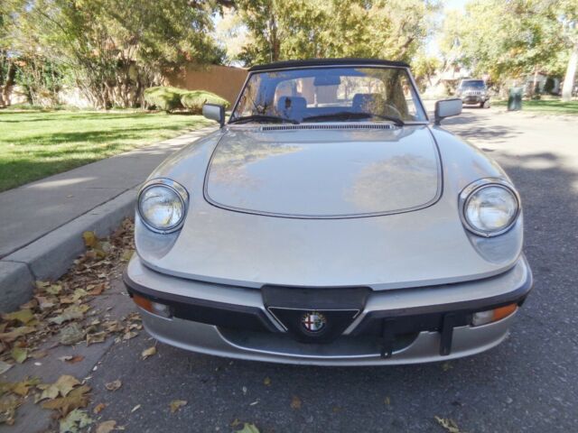 1987 Alfa Romeo Quad Spyder 1987 Alfa Romeo Spider