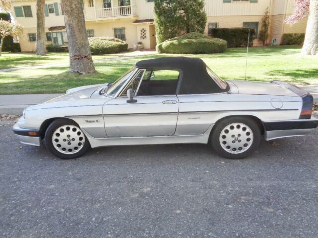 1987 Alfa Romeo Spider - photo 7