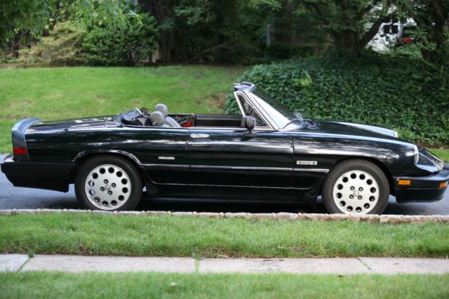 1987 Alfa Romeo Spider - photo 7
