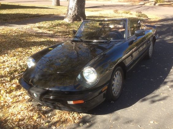 1987 Alfa Romeo Spider