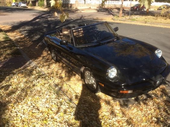 1987 Alfa Romeo Spider - photo 2
