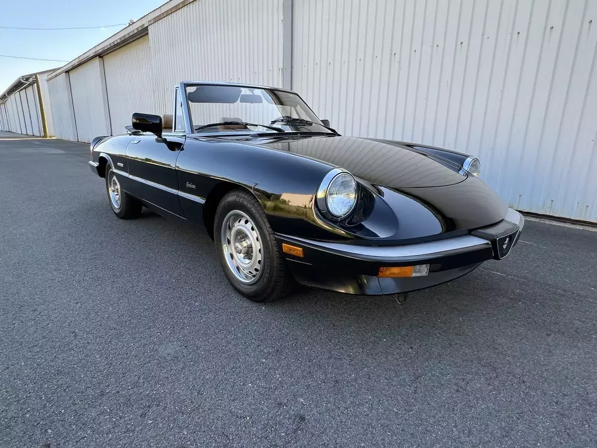 1987 Alfa Romeo Spider Convertible Black GRADUATE 1987 Alfa Romeo Spider GRADUATE
