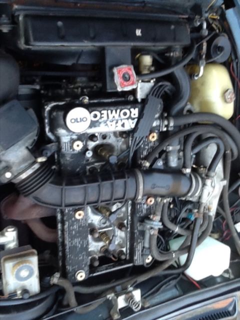 1987 Alfa Romeo Other Spider Veloce - photo 8