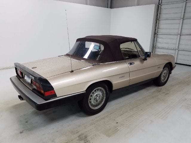 1987 Alfa Romeo Spider Grad - photo 2