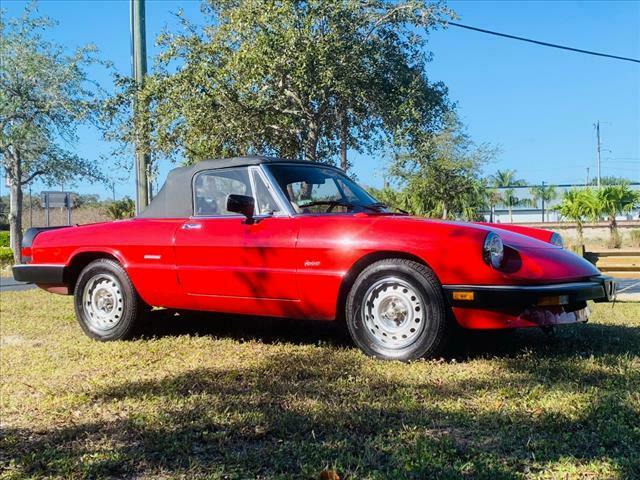 1987 Alfa Romeo Spider Graduate - photo 10