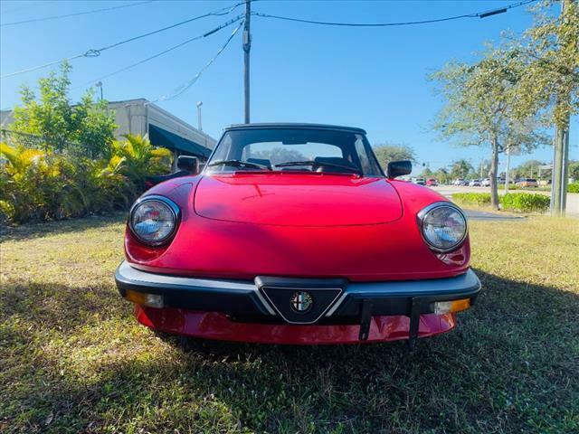 1987 Alfa Romeo Spider Graduate - photo 3