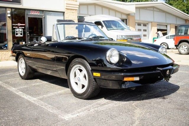 1987 Alfa Romeo Spider Graduate - photo 3