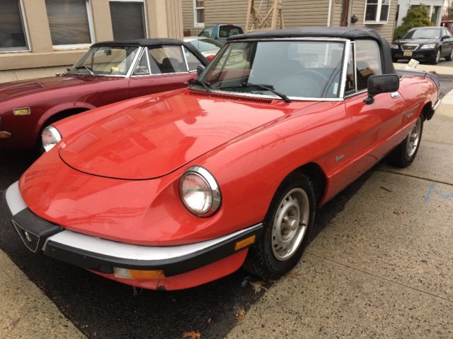 1987 Alfa Romeo Spider - photo 2