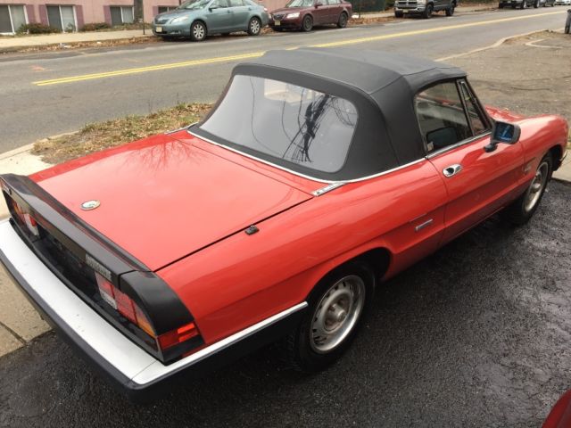 1987 Alfa Romeo Spider - photo 3