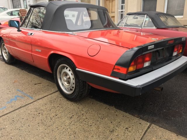 1987 Alfa Romeo Spider - photo 4