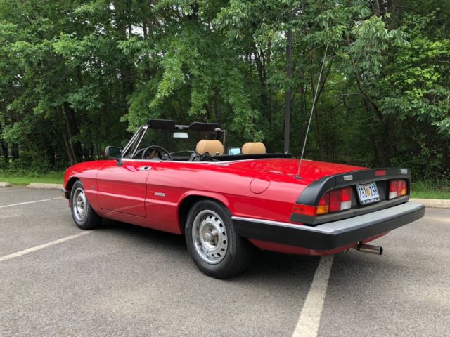 1987 Alfa Romeo Spider Graduate - photo 2