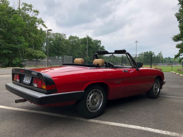 1987 Alfa Romeo Spider Graduate - photo 3