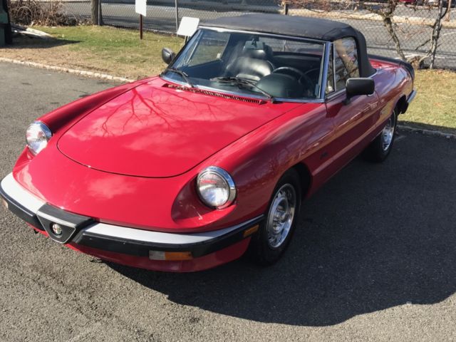 1987 Alfa Romeo Spider Graduate - photo 2