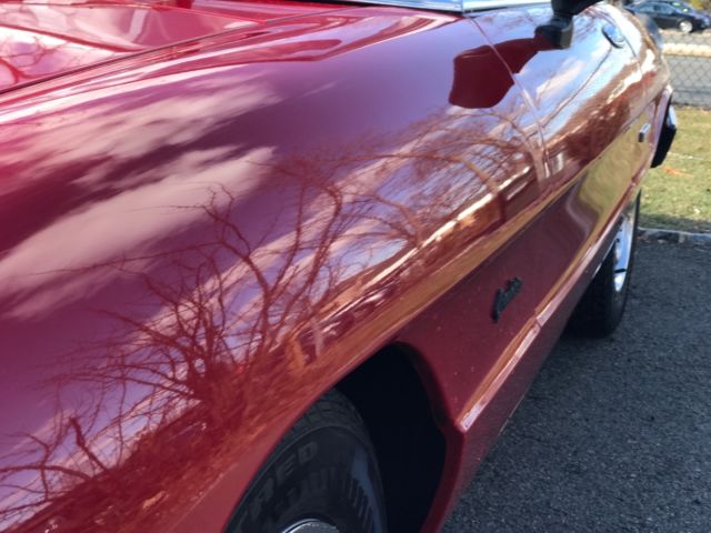 1987 Alfa Romeo Spider Graduate - photo 4