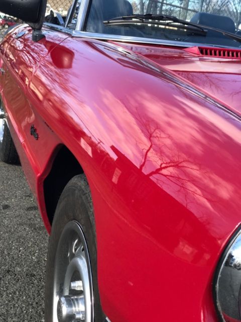 1987 Alfa Romeo Spider Graduate - photo 5