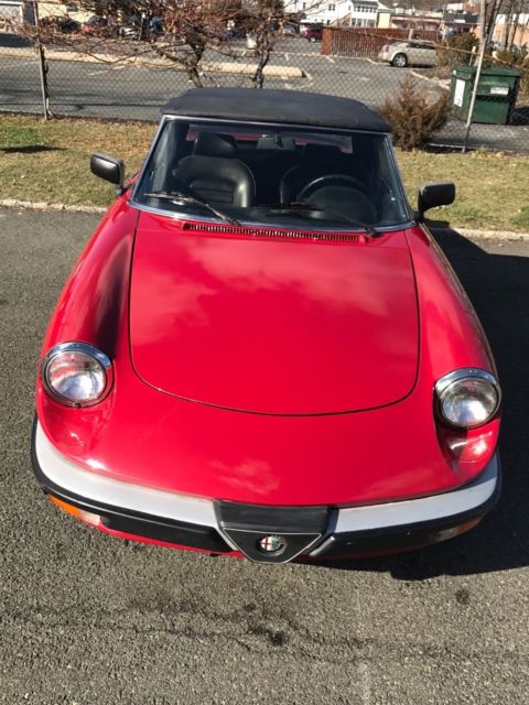1987 Alfa Romeo Spider Graduate - photo 8