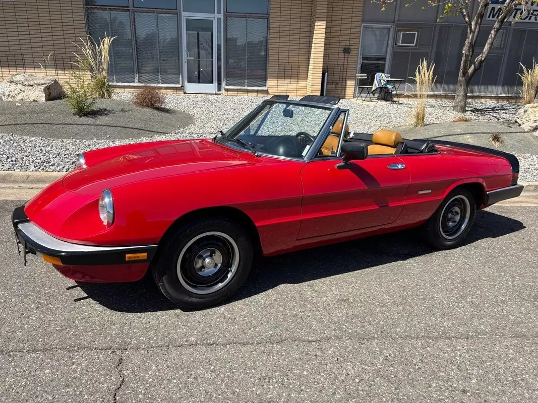 1987 Alfa Romeo Spider Graduate very fun droptop for the summertime 128,297 Mile 1987 Alfa Romeo Spider Graduate very fun droptop for the summertime