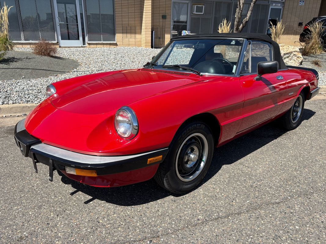 1987 Alfa Romeo Spider Graduate very fun droptop for the summertime - photo 10