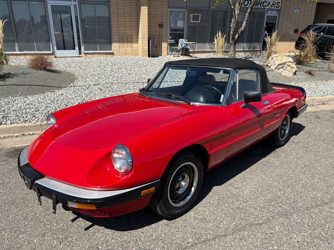 1987 Alfa Romeo Spider Graduate very fun droptop for the summertime - photo 11
